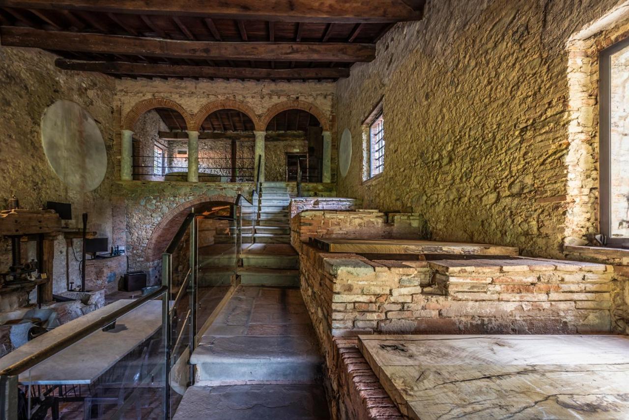 Bed and Breakfast Frantoio Del Moscatello Camaiore Esterno foto